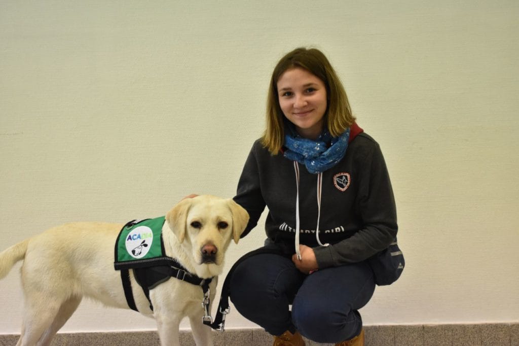 L'association Acadia forme des chiens d'assistance aux personnes diabétiques.