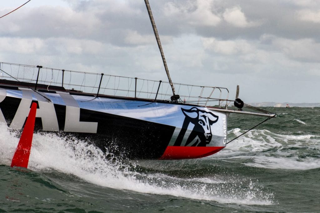 Charal sur l'océan.