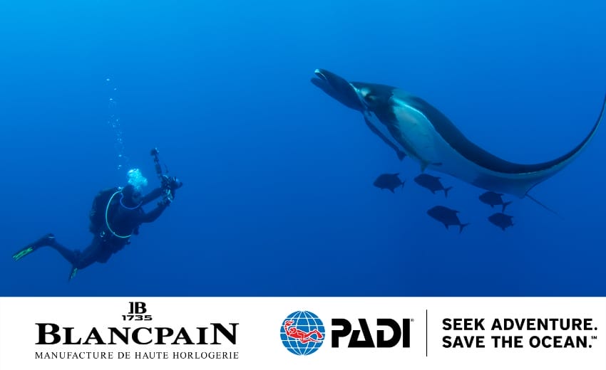 Blancpain et PADI unissent leurs forces pour contribuer prot ger