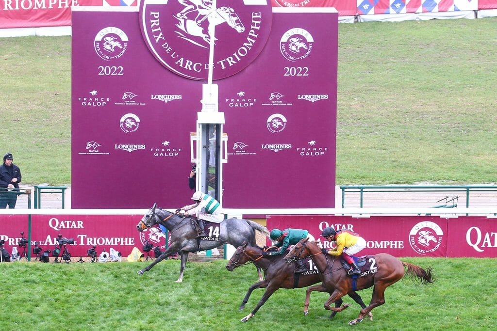 La victoire du 14, Alpinista