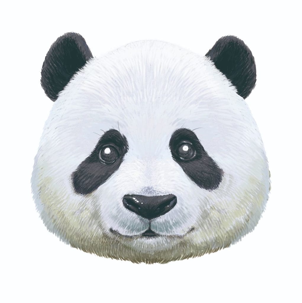 Quand seiko fait se retrouver horlogerie, art, et design.