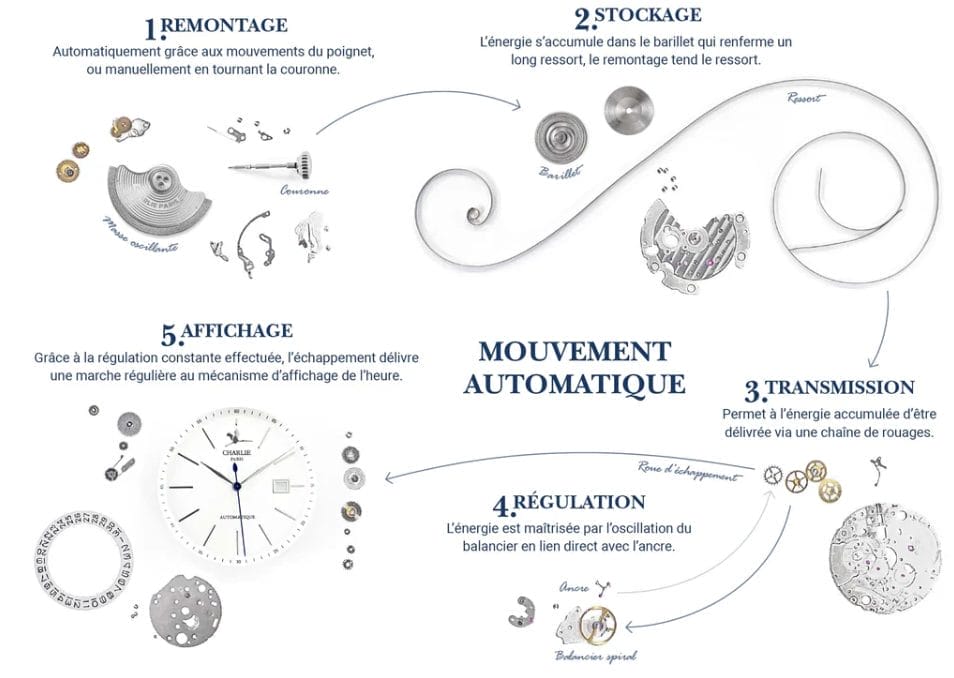 Schéma du fonctionnement d'une montre automatique par Charlie Paris